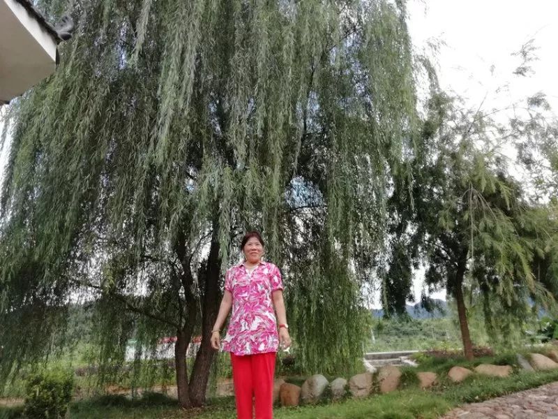 韶关曲江乳源诗友结袂自然游集诗三十首