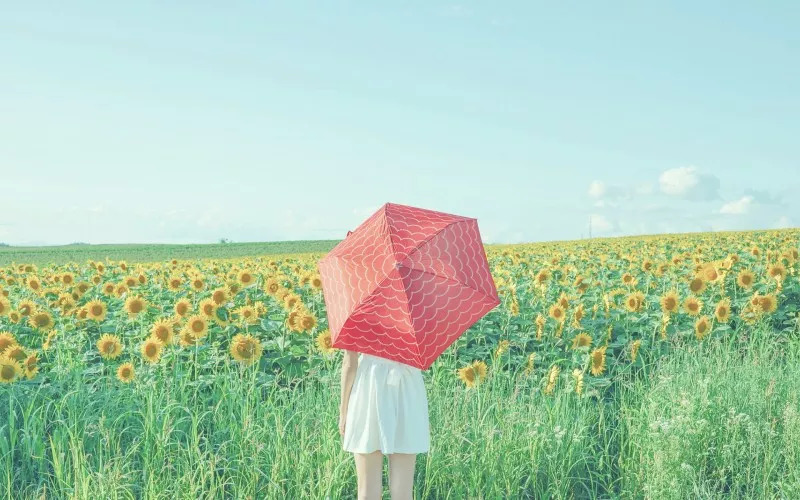 荐读深度好文,荐读浓缩出来的人生