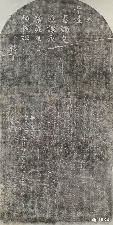 吴县撤市设区文件、80年代结婚证……相城那些陈年往事首度“曝光”