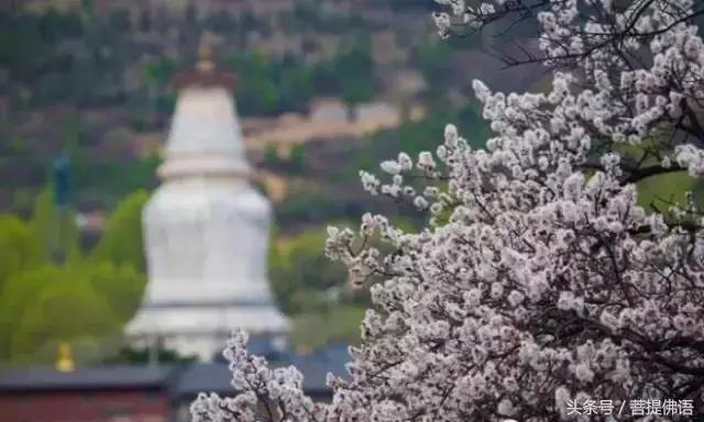 中国最美的寺图片,中国最美的寺庙列表汇编