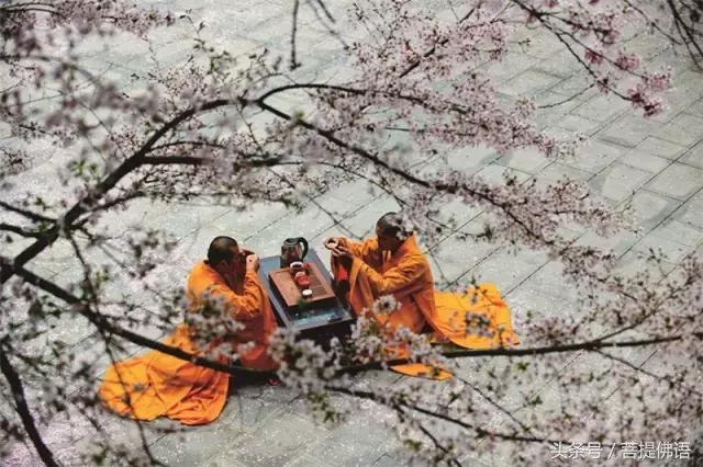 中国最美的寺图片,中国最美的寺庙列表汇编