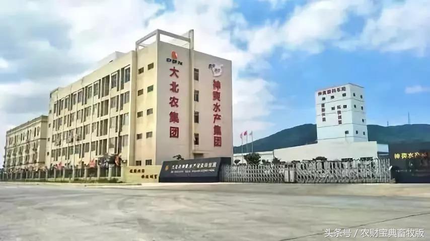 大北农5月生猪销售额,大北农8月生猪销售额