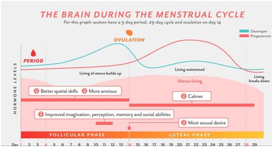大姨妈存在的意义,大姨妈有什么常识