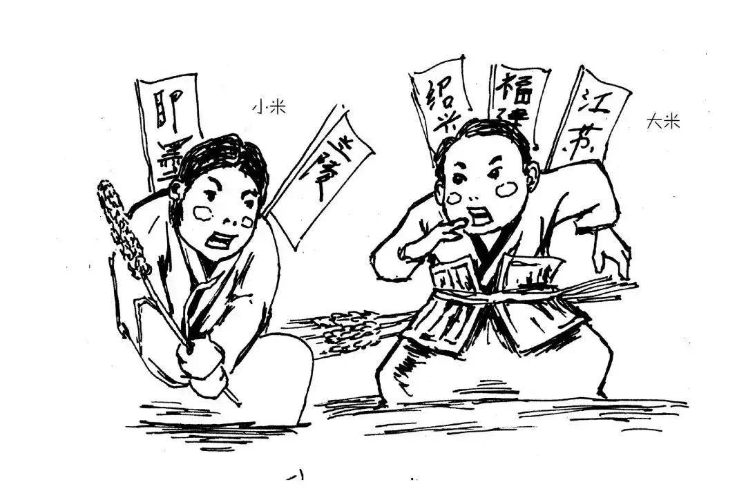 房县黄酒以酒为礼,房县黄酒试饮