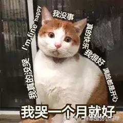 护肤姐妹花,护肤姐妹花推荐