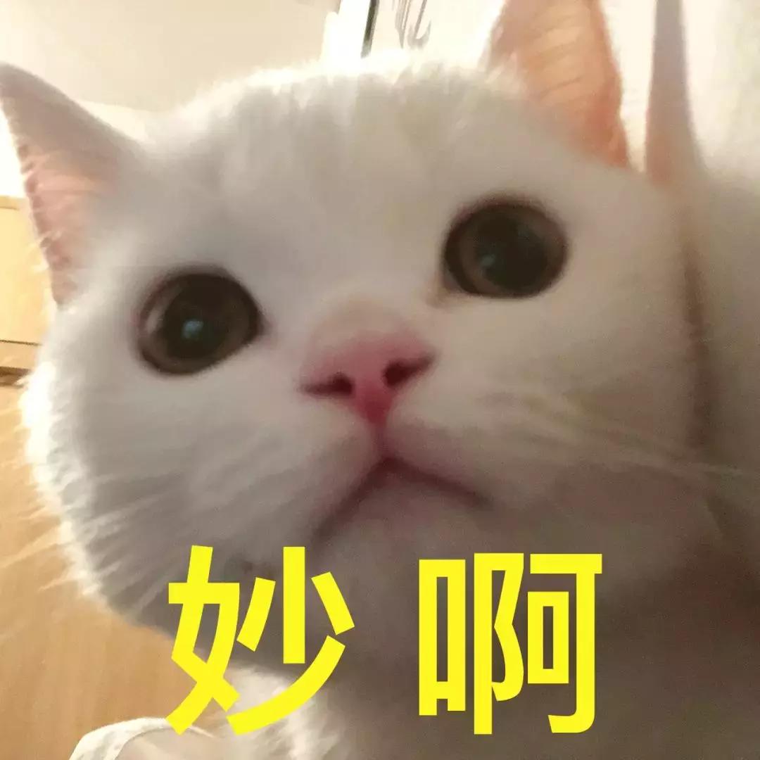 10款网红粉底大测评｜50元和1200元的粉底究竟有什么区别？