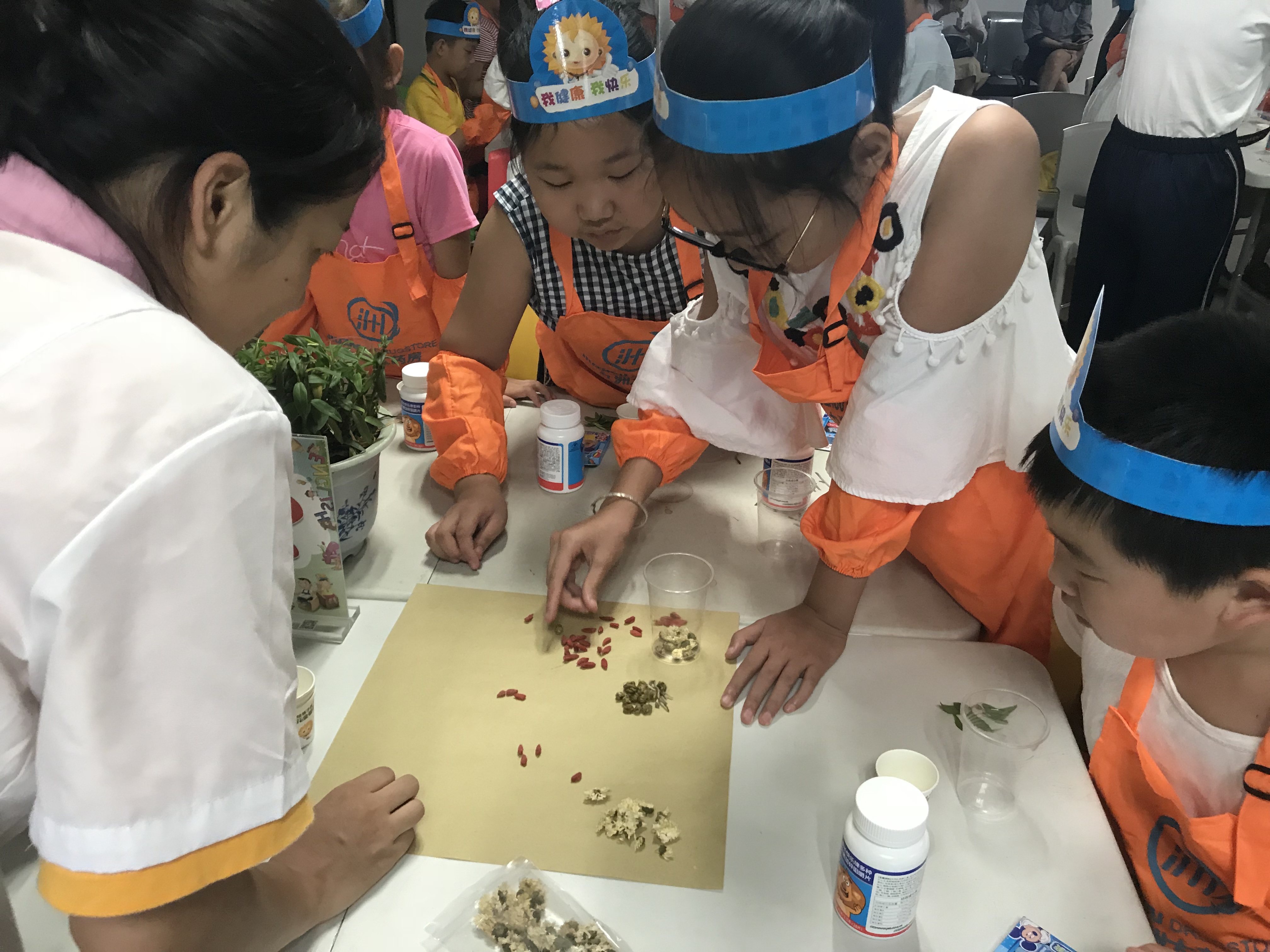 中华小药师夏令营第六课：认识神奇的仙草——石斛