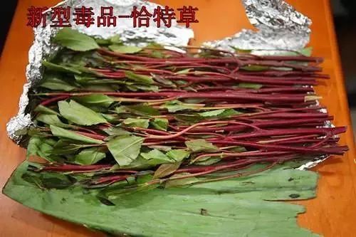 太可怕!做微商竟成毒贩!新型*品毒**“蓝精灵”出现,女孩小心了!