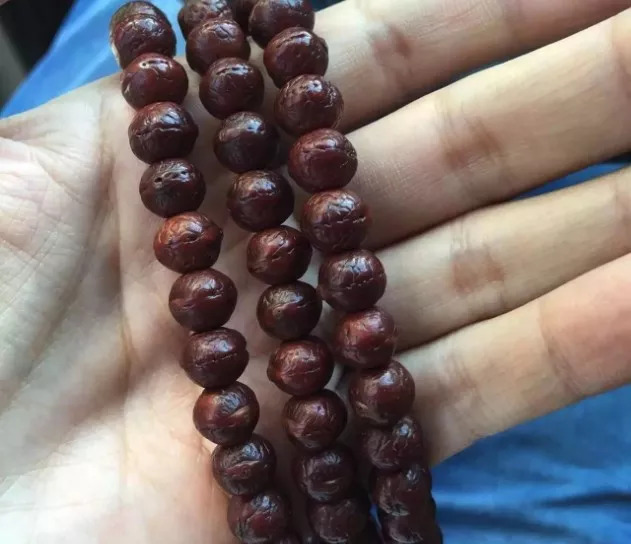 枣核凤眼菩提是菩提吗,麒麟眼菩提和凤眼菩提