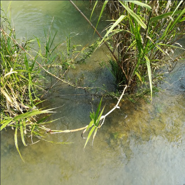 贵州自驾游旅游攻略自由行,贵州环省自驾旅游攻略