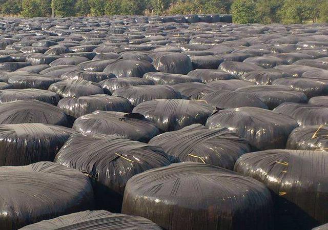 发酵饲料制作方法,发酵饲料真的好吗