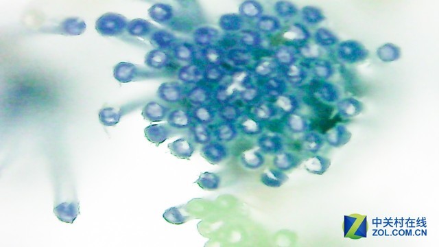 电动牙刷差价大的原因,电动牙刷几十块的猫腻