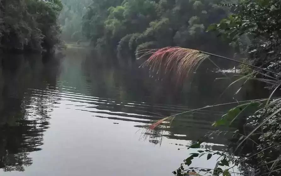 能钓鱼的避暑胜地有哪些,既能钓鱼又能野营的地方
