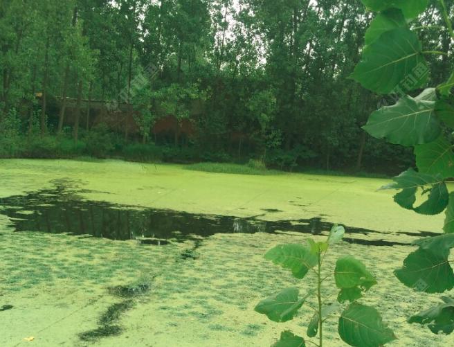 新手选路亚怎么选,新手入坑路亚到弃坑全过程