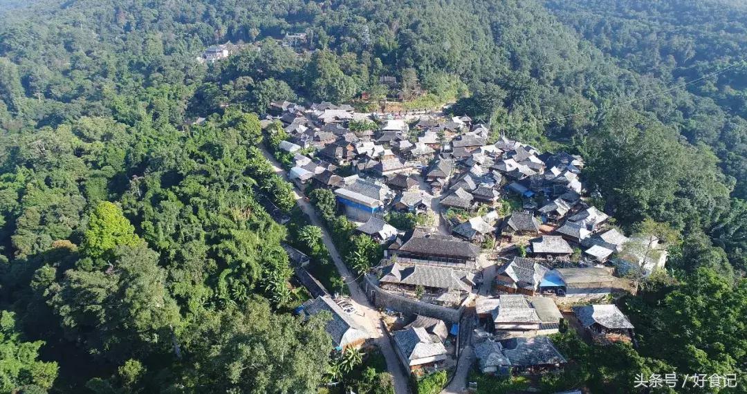 勐海县第一普洱茶,勐海茶厂最出名的茶