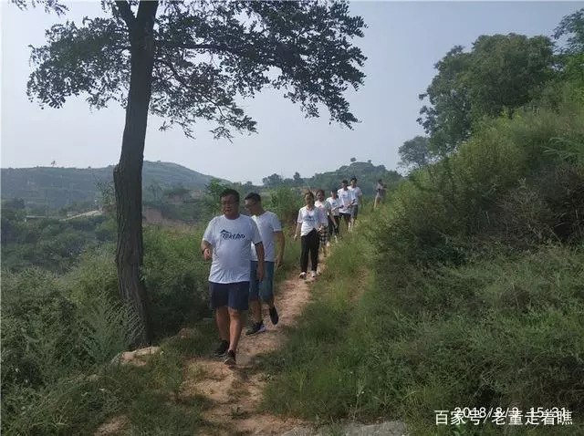 三晋都市报原创,三晋都市报临汾