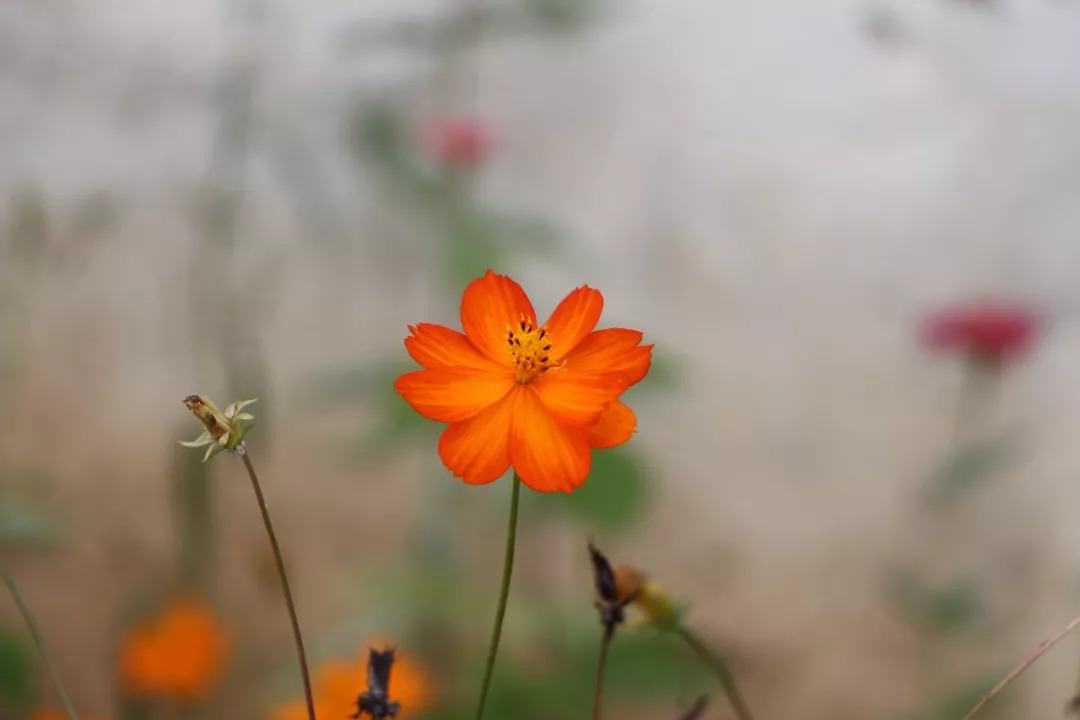 当你一无所有的时候谁会帮你,当你一无所有的时候的句子