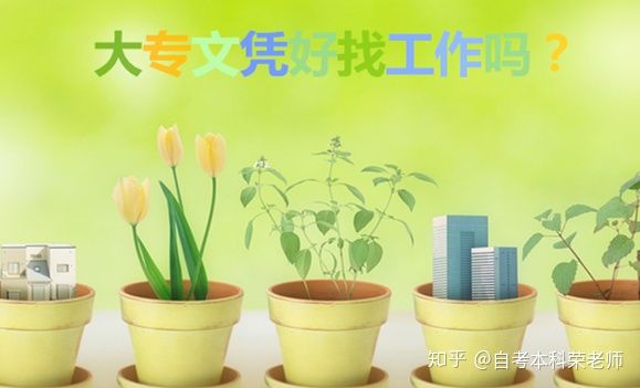 大专文凭当小学老师工作好找吗,大专文凭退伍军人好找工作吗