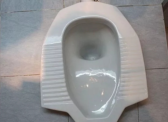 如何挑选一款好的蹲便器,这是一条有味道的评论