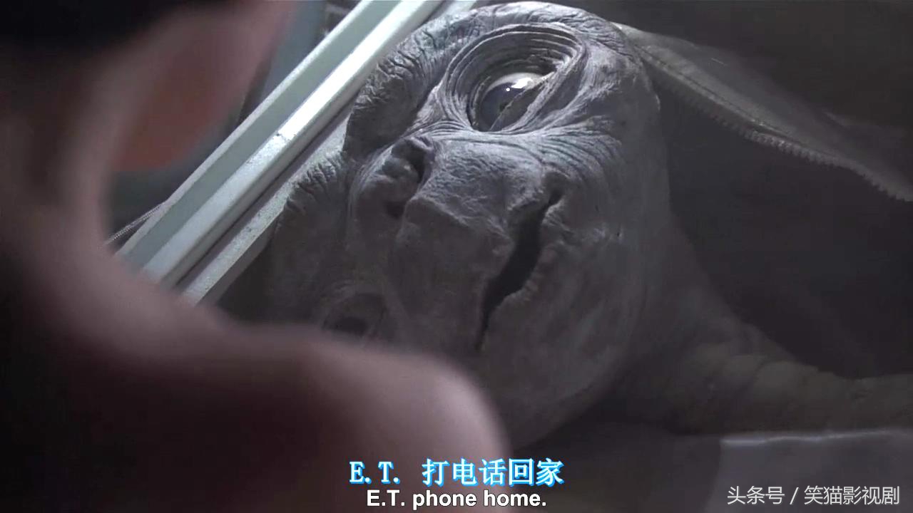 黑客帝国一部细思极恐的科幻巨制,中国科幻电影黑客帝国