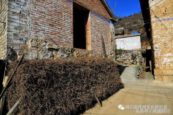 在河南有一个很传奇的小山村,陵川最大的村在哪里
