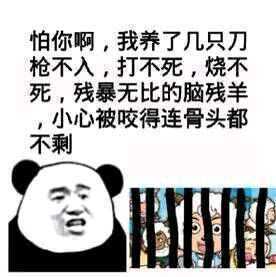 怼你表情包撒野,表情包怼人图片