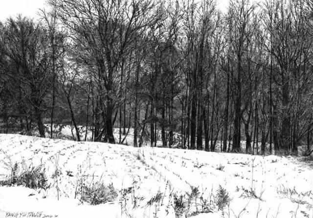 顶级超写实钢笔画,最惊艳的钢笔画大神