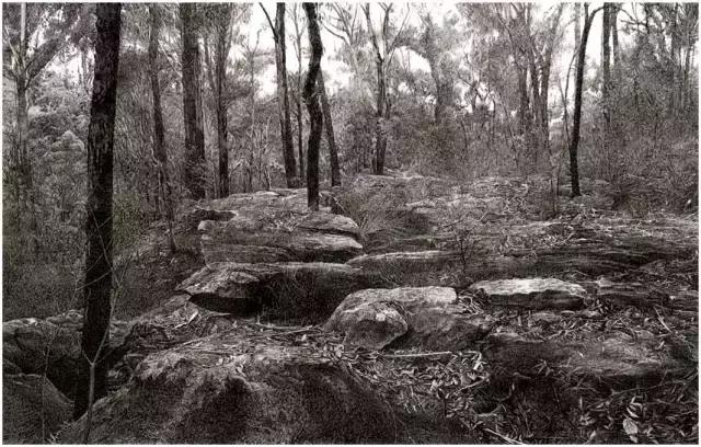 顶级超写实钢笔画,最惊艳的钢笔画大神