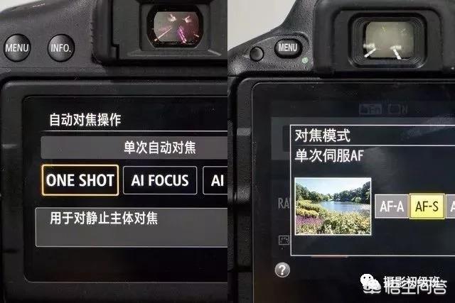 初学者单反相机入门教程,如何学习单反数码相机的简单操作