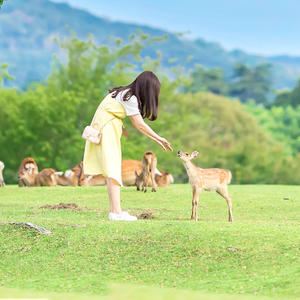 日本关西十大自由行,日本关西旅游攻略