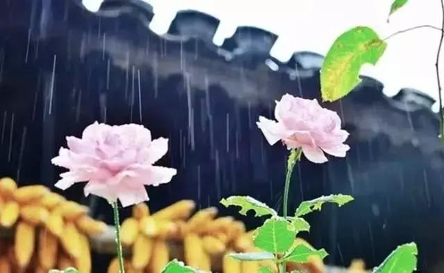 善之一字，蕴百家智慧，含万福之道