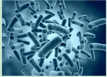 革兰氏阳性菌和革兰氏阴性菌选择抗菌药物