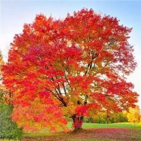 做人要沉稳不要说人坏话,做人不要听别人的闲话要做好自己