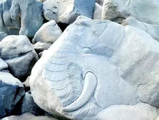 济州岛火山岛,韩国济州岛是一座典型的火山岛