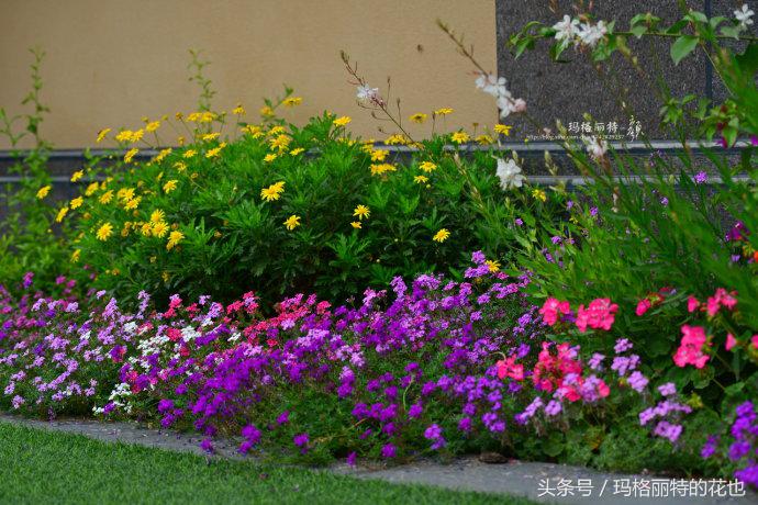 园丁修剪灌木,开满鲜花的小路教学设计一等奖