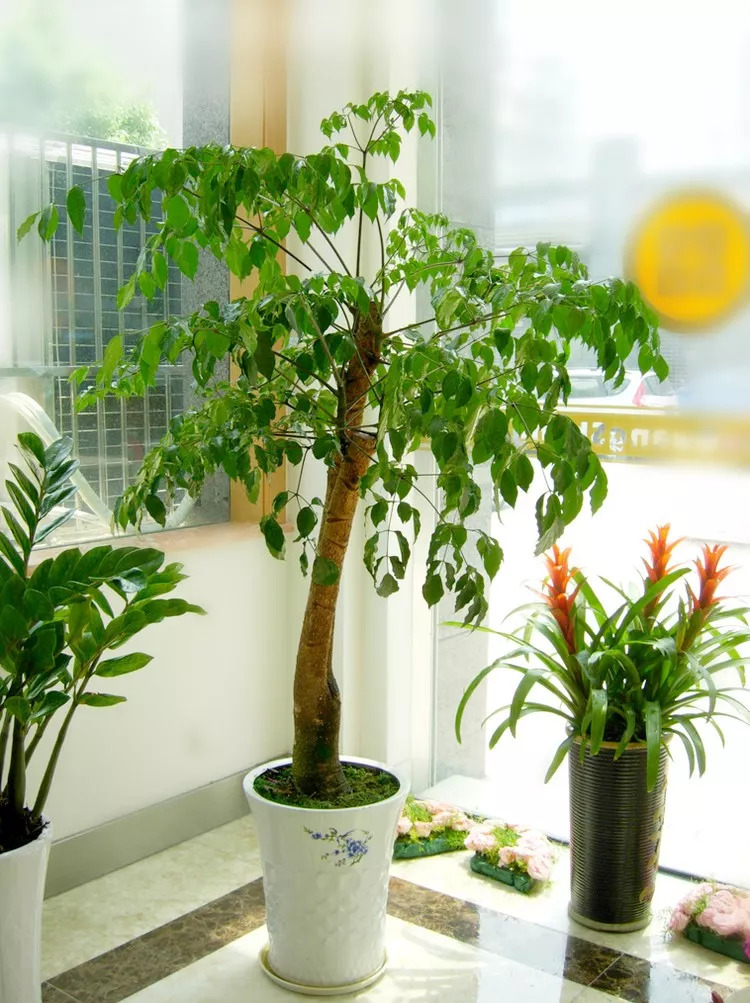 管恩锋简介,管恩锋品读好诗词