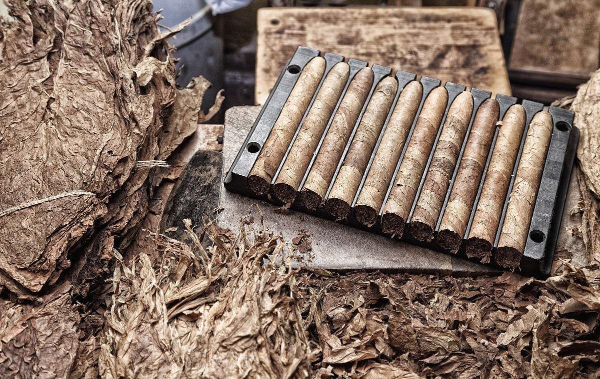 “墨西哥湾的钥匙”古巴，加勒比海的肥沃之地，盛产雪茄和蔗糖