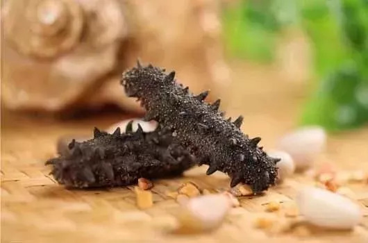 海参事件真相大揭秘,还原海参真相