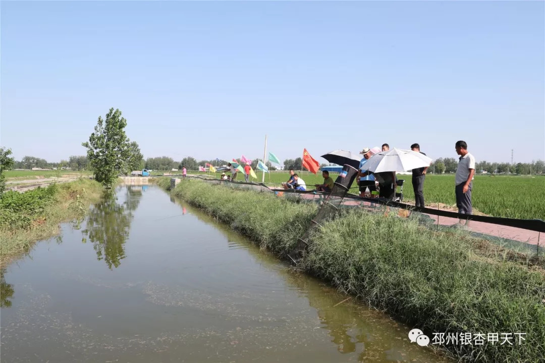 来不及解释了快上车原版视频,来不及解释了快上车动态图