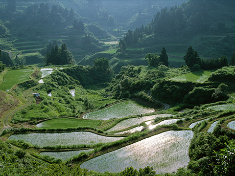 通俗易懂的风水技巧有哪些,风水干货知识讲解大全图解