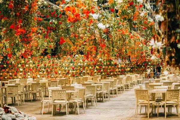 名古屋5天亲子游攻略,名古屋旅行经典二日游