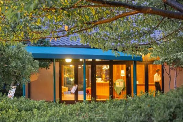 名古屋亲子游好去处,名古屋作为日本的一个小众旅行地