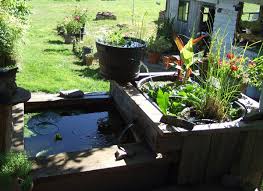 龟缸沼泽过滤系统视频,龟池沼泽过滤