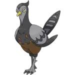 口袋妖怪小科普32集,口袋妖怪小知识第五集