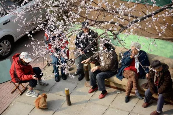 北京租房实录2019,北京租房经历