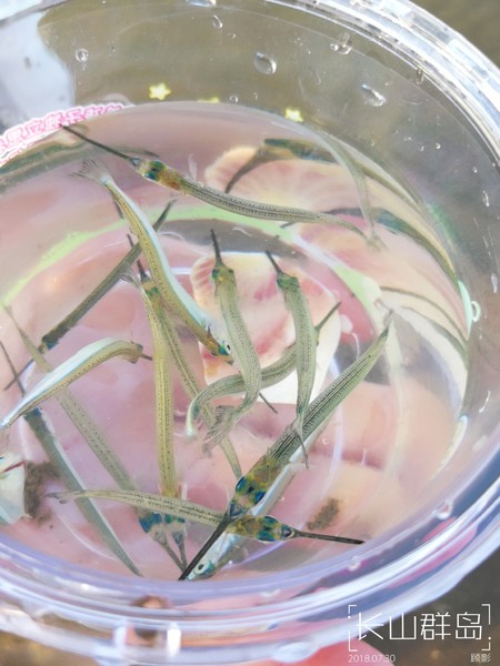 顾影的流水账1：合肥~大连~海拉尔