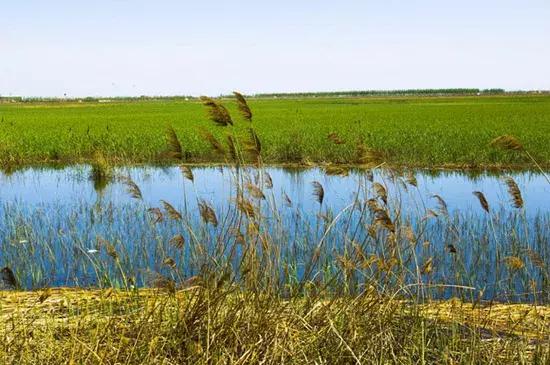 天津市区旅游景点大全集地图,天津超全游玩攻略懒人自取