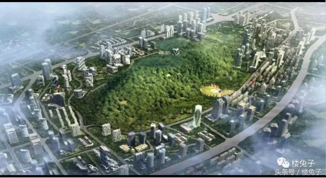 爆料！宝安区要在西乡搞大动作！