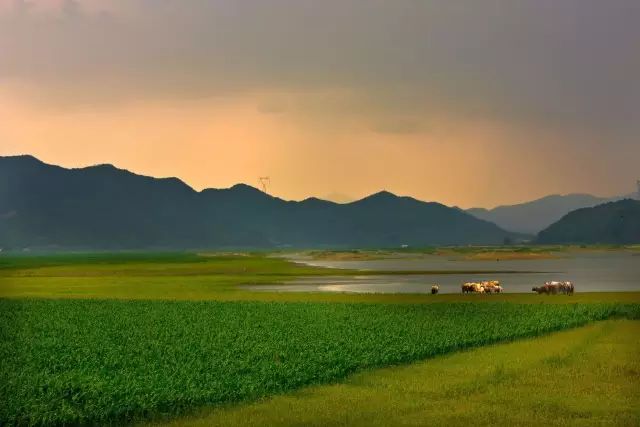 弓长岭有什么怪,弓长岭四大金刚