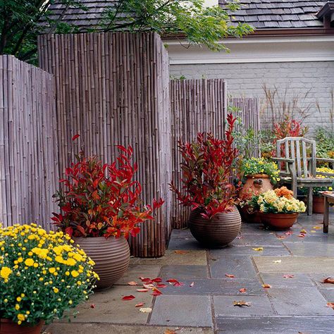 庭院元素,庭院竹子造型布局